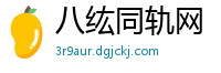 八纮同轨网